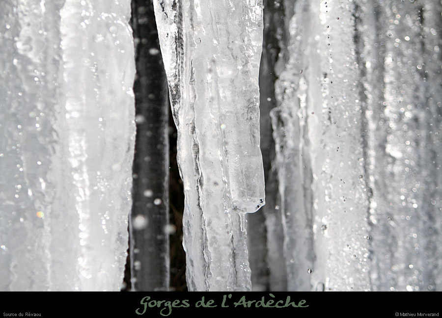20120210_revaousource21