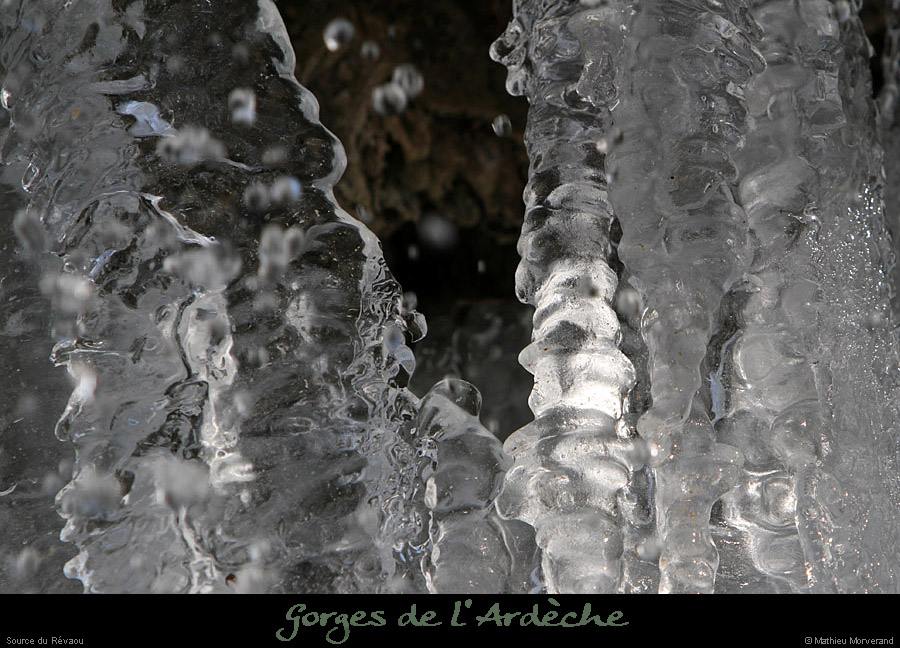 20120210_revaousource24