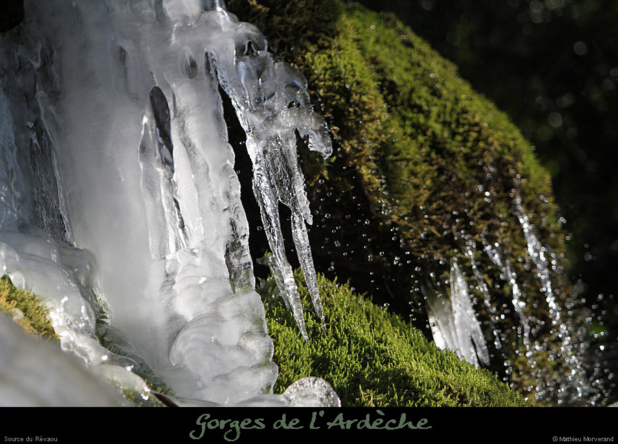 20120210_revaousource25