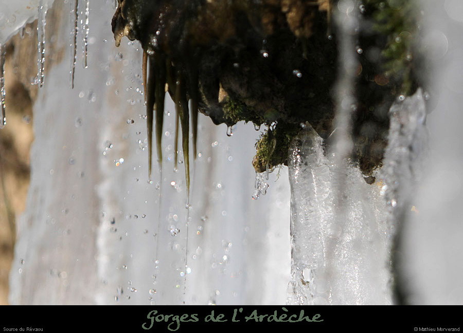 20120210_revaousource26