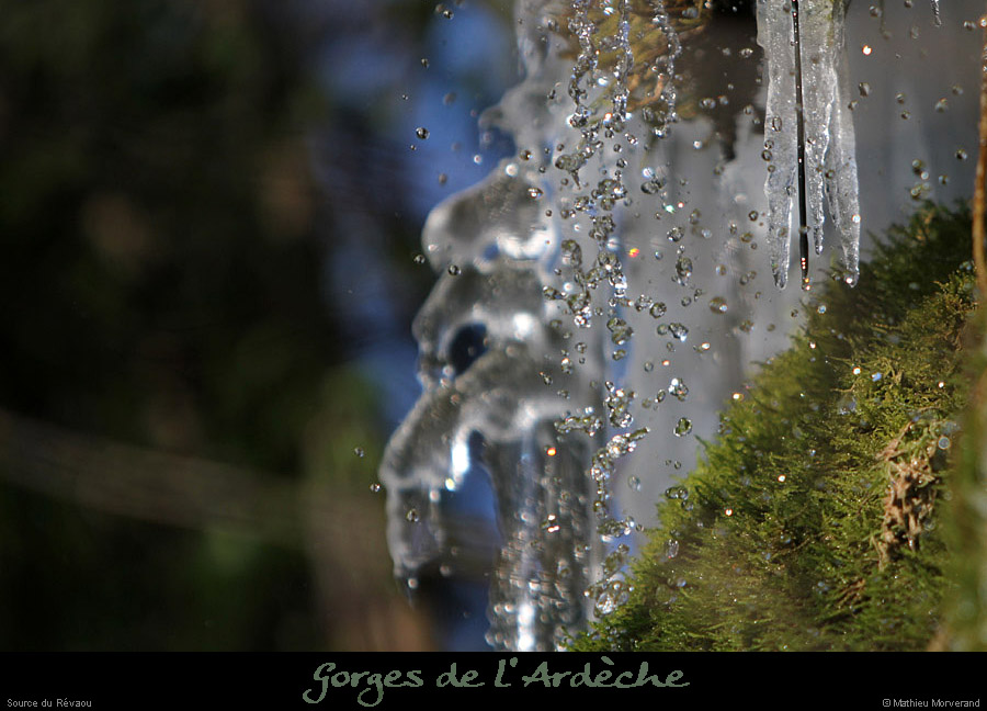 20120210_revaousource27