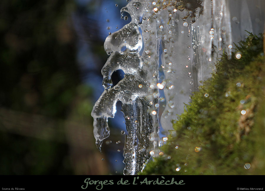 20120210_revaousource28