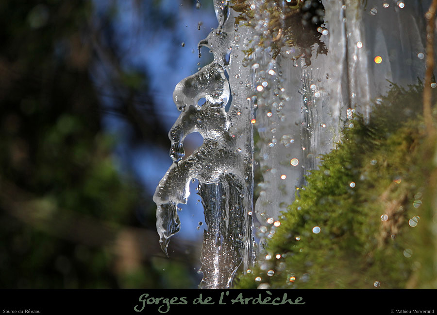 20120210_revaousource29