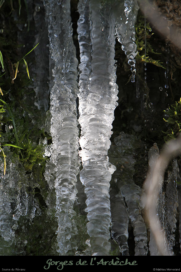 20120210_revaousource32