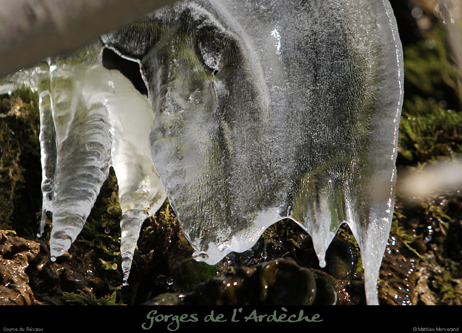 20120210_revaousource34