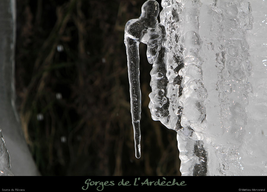 20120210_revaousource36
