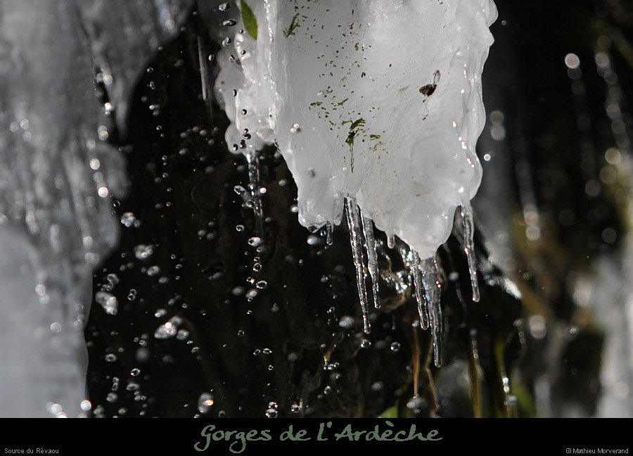 20120210_revaousource37