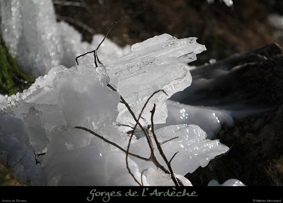 20120210_revaousource38