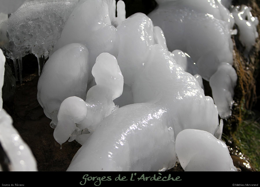 20120210_revaousource40