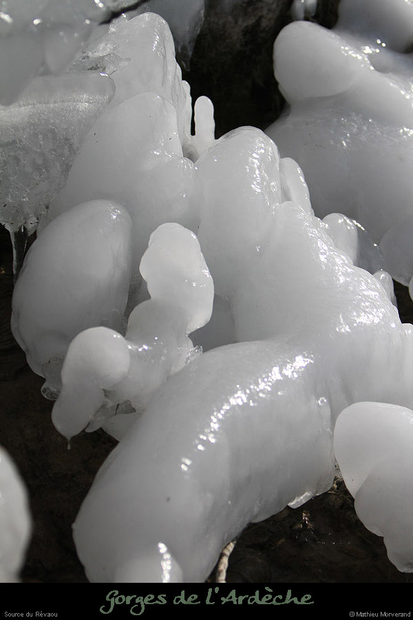 20120210_revaousource41