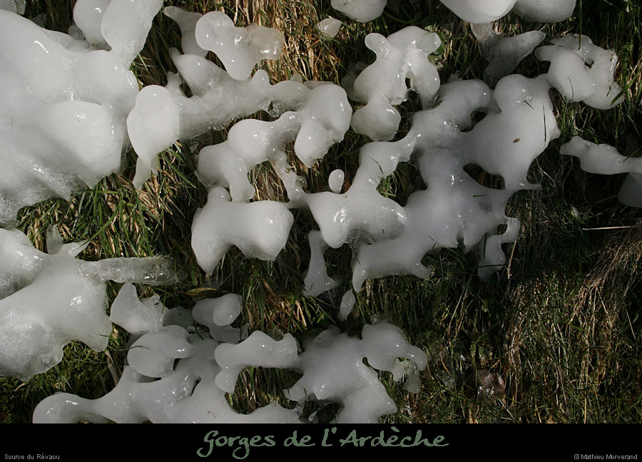 20120210_revaousource42