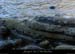 20120205_amptdarc_rochersgeles1