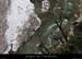 20120210_gorgesardeche_dentnoire02