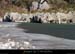 20120210_gorgesardeche_gaud_rivieregelee09