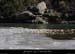 20120210_gorgesardeche_gaud_rivieregelee21