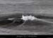 20120210_gorgesardeche_gaud_rivieregeleedetails13