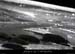 20120210_gorgesardeche_gaud_rivieregeleedetails17
