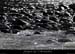 20120210_gorgesardeche_gaud_rivieregeleedetails20