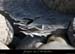 20120210_gorgesardeche_gaud_rivieregeleedetails24