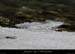 20120210_gorgesardeche_gaud_rivieregeleeerg09