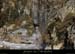 20120210_revaousource09