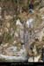20120210_revaousource11