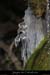 20120210_revaousource31