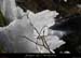 20120210_revaousource38