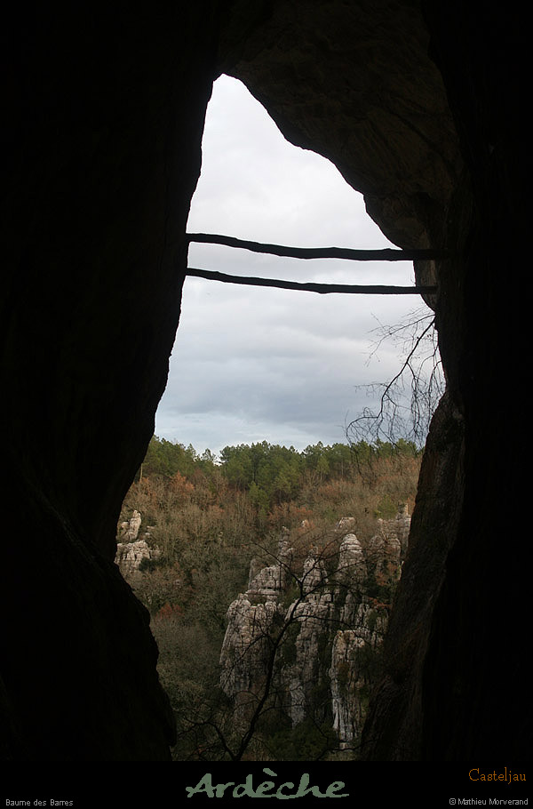 20100101_gorgescasteljau_baumedesbarres1