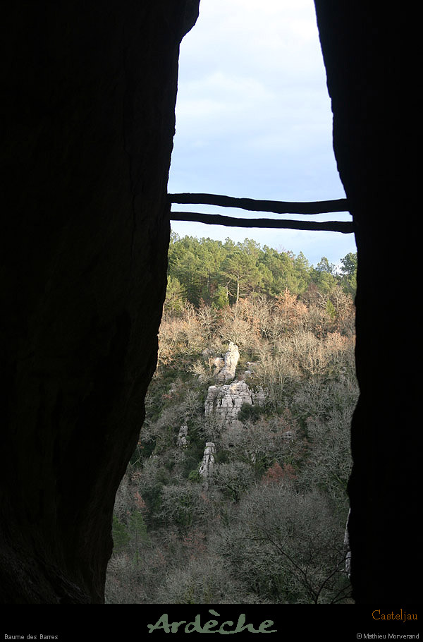 20100101_gorgescasteljau_baumedesbarres2