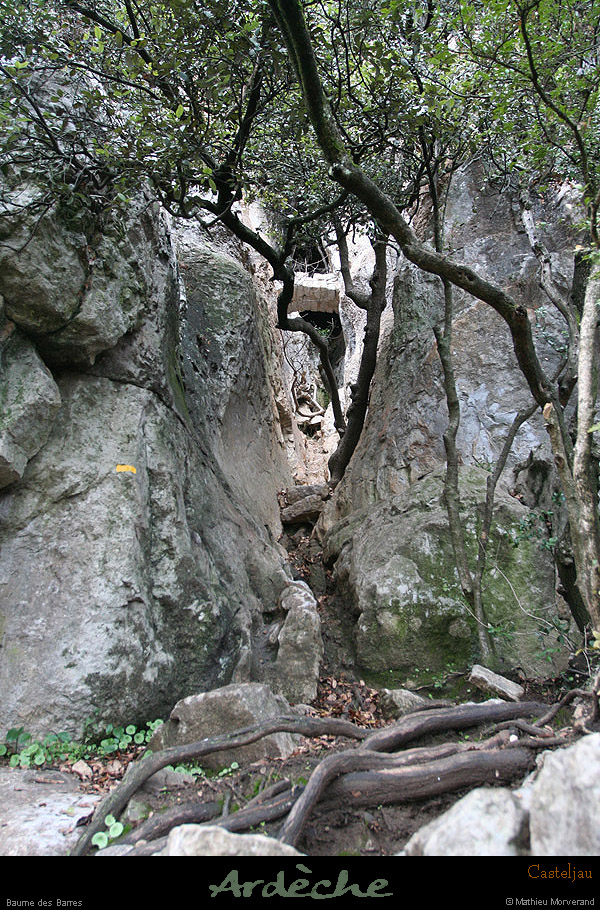 20100101_gorgescasteljau_baumedesbarresacces