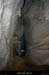 20100110_gorgescasteljau_baumebarres1
