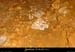 20010107_grottedutrianglebeni_32