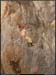 2avens20061210_12