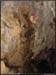 2avens20061210_14