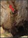 2avens20061210_17