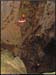 2avens20061210_25