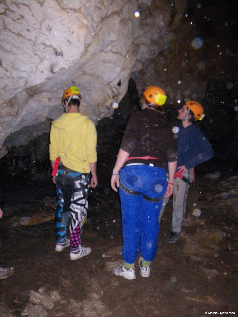 20100324_44