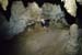 20150217_2avens04