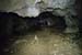 20150217_2avens24