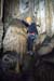 20150217_2avens52
