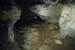 20150217_2avens63