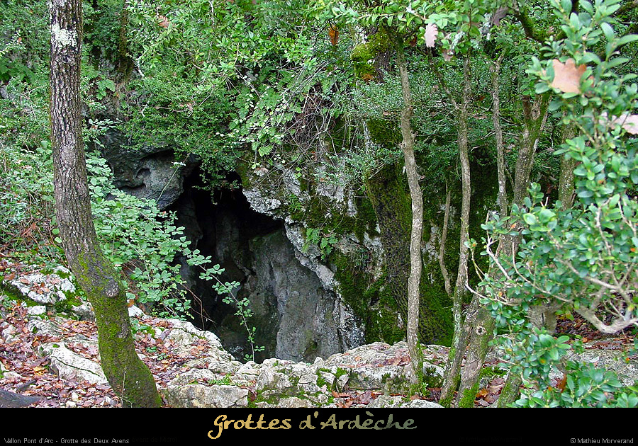 20001126_2avensentree1
