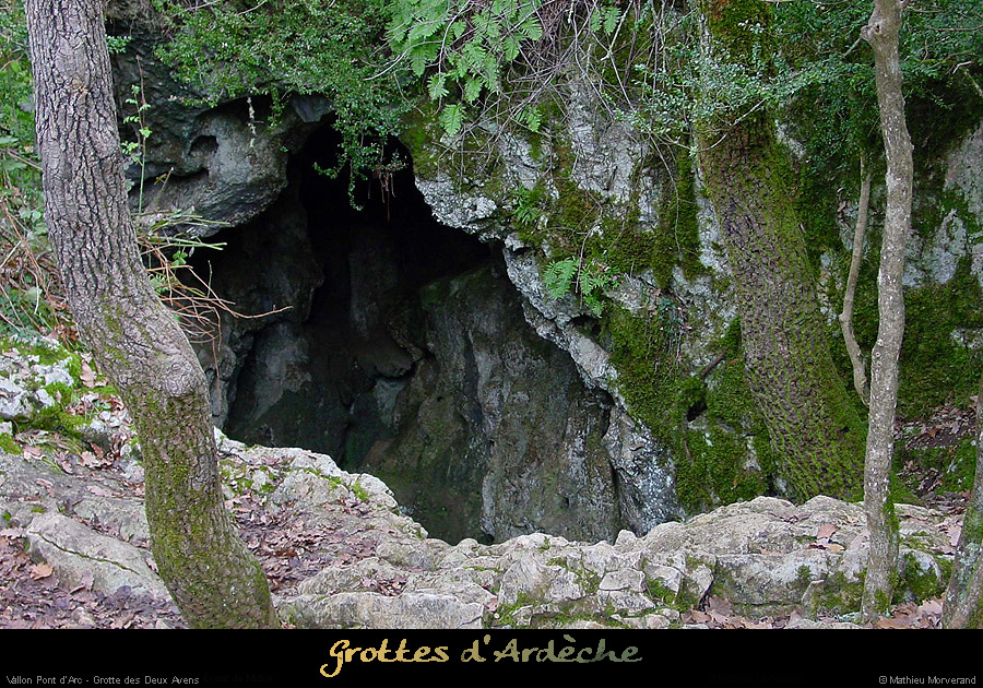 20020203_deuxavens_entree1_1
