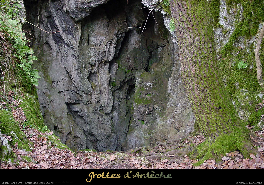 20020203_deuxavens_entree1_3