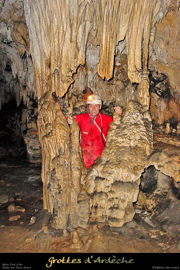 20041015_2avens_6_fond