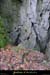 20001126_2avensentree4