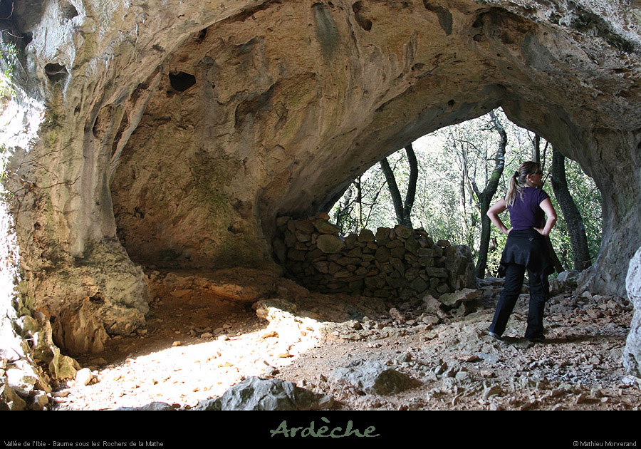 20070922_baumearduc4
