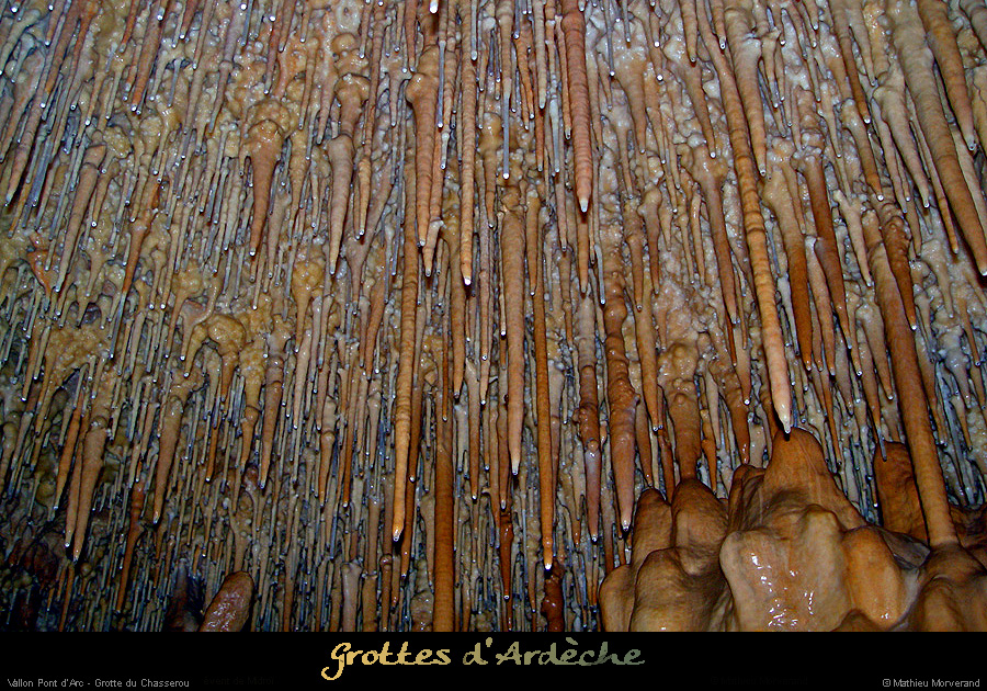 20041104_chasserou_galeriedesperles_bis_13