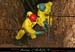 chazot_fond_025